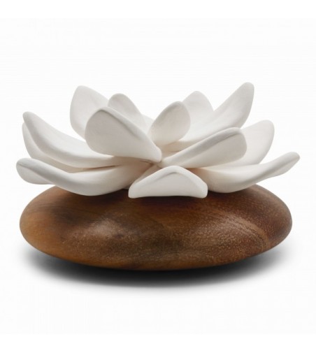 DIFUSOR STAR DE JAVA