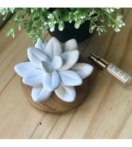 DIFUSOR STAR DE JAVA ANOQ