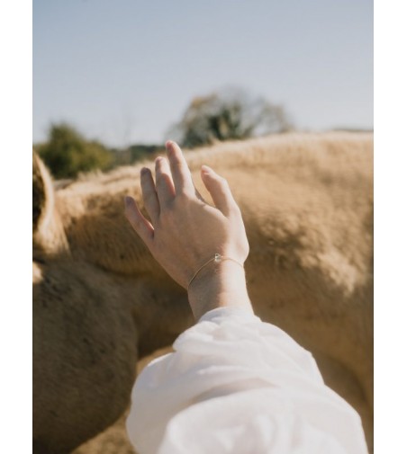 TOSCA PULSERAS FAUNA Y FLORA