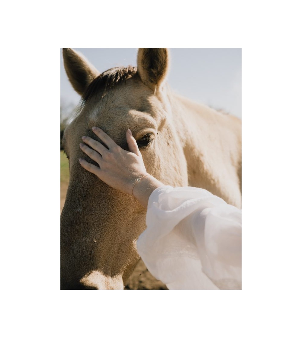 TOSCA PULSERAS FAUNA Y FLORA