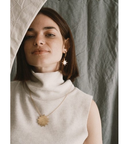 Verne Colgante  fauna y flora